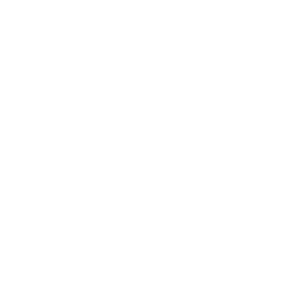 Wiply Logo